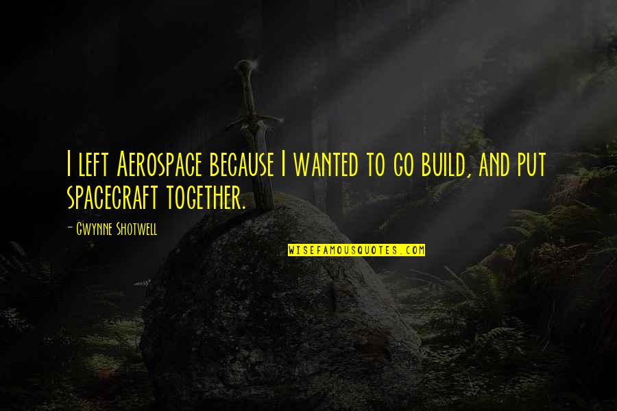 Group Life Assurance Quotes By Gwynne Shotwell: I left Aerospace because I wanted to go