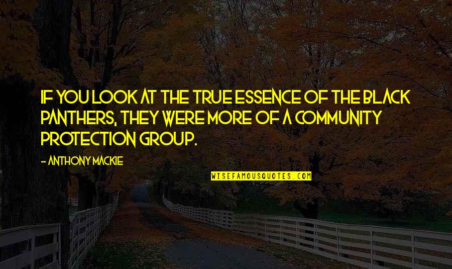 Group Of Quotes By Anthony Mackie: If you look at the true essence of Group Of Quotes By Anthony Mackie: If you look at the true essence of