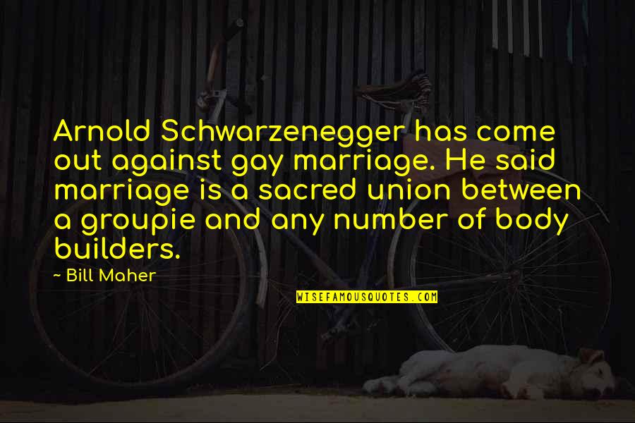 Groupie Quotes By Bill Maher: Arnold Schwarzenegger has come out against gay marriage.