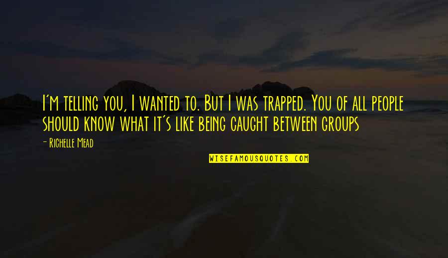 Groups Of People Quotes By Richelle Mead: I'm telling you, I wanted to. But I