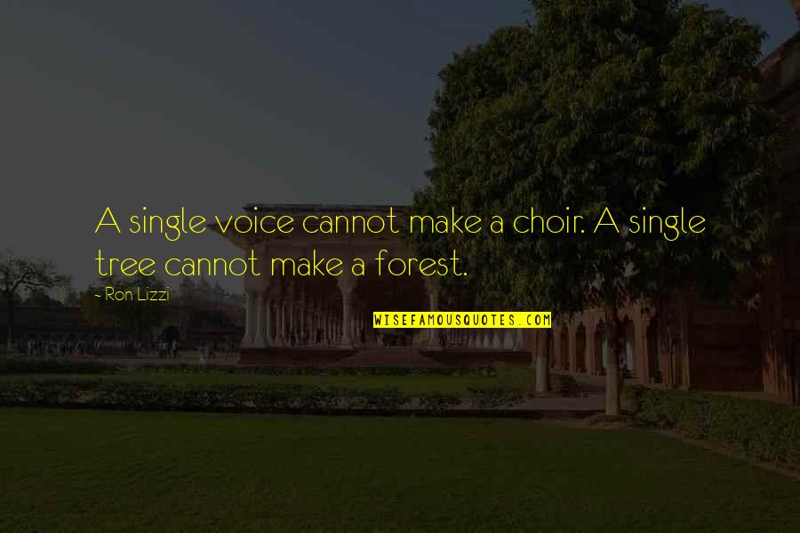 Groups To Make Friends Quotes By Ron Lizzi: A single voice cannot make a choir. A
