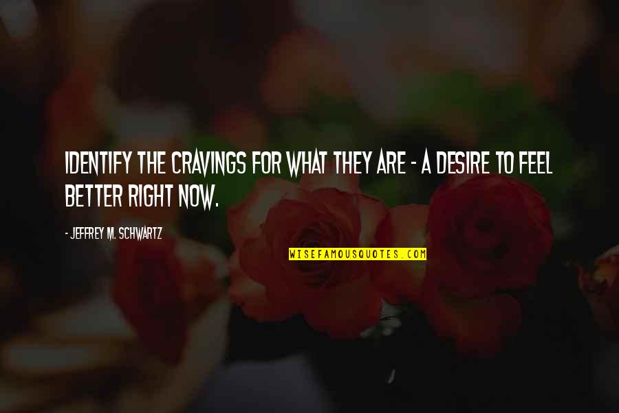 Grovac Quotes By Jeffrey M. Schwartz: identify the cravings for what they are -