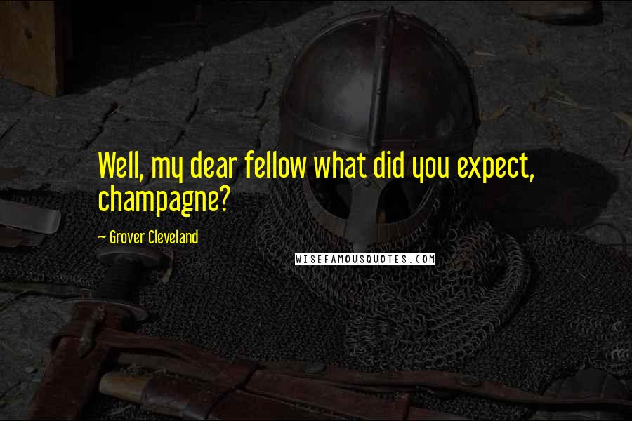Grover Cleveland quotes: Well, my dear fellow what did you expect, champagne?