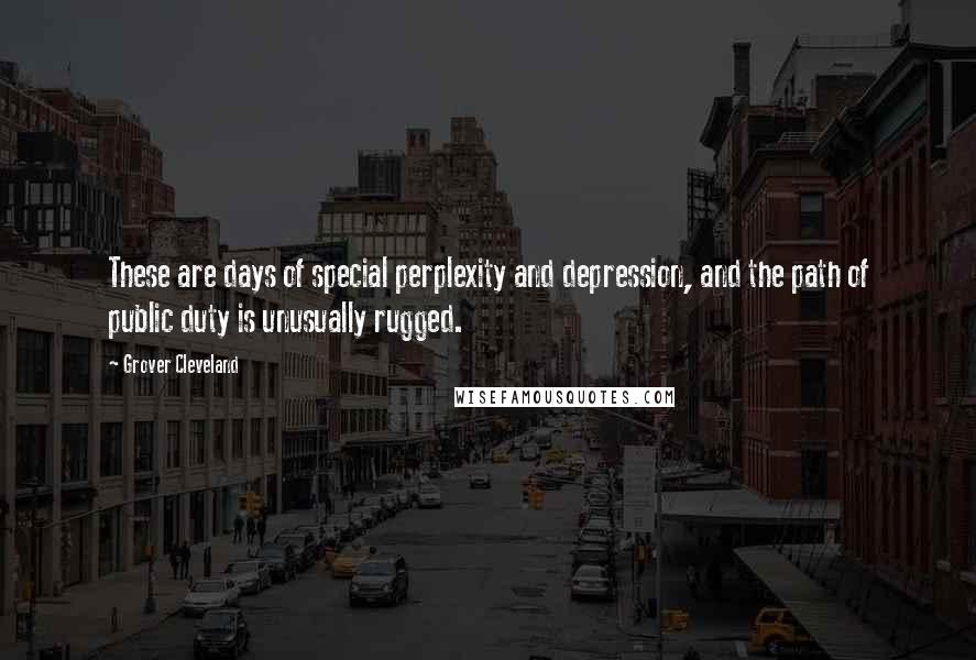 Grover Cleveland quotes: These are days of special perplexity and depression, and the path of public duty is unusually rugged.