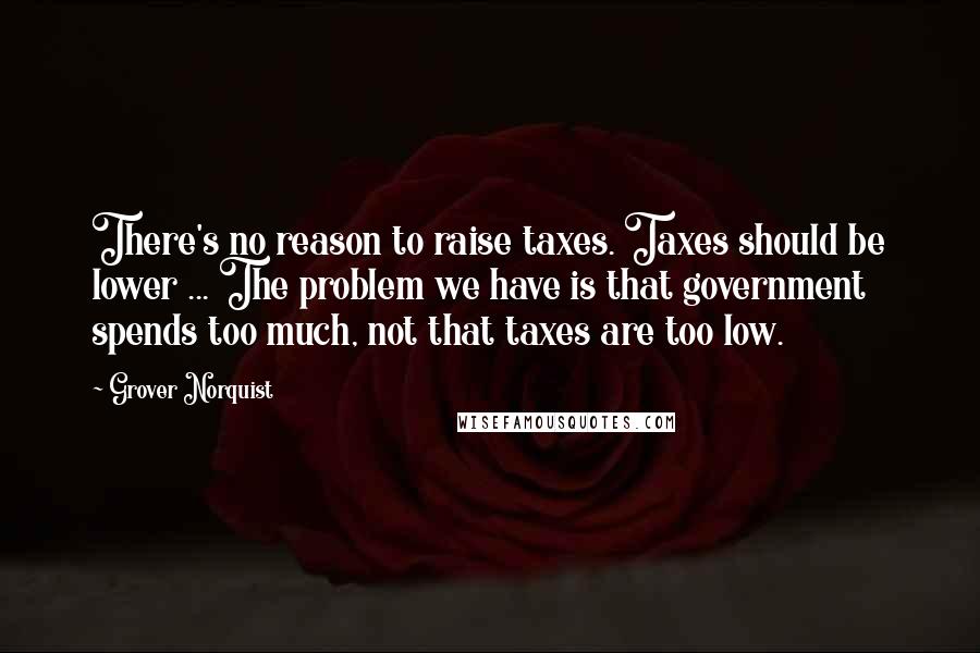 Grover Norquist quotes: There's no reason to raise taxes. Taxes should be lower ... The problem we have is that government spends too much, not that taxes are too low.