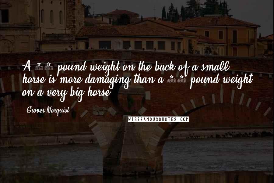 Grover Norquist quotes: A 20-pound weight on the back of a small horse is more damaging than a 20-pound weight on a very big horse.