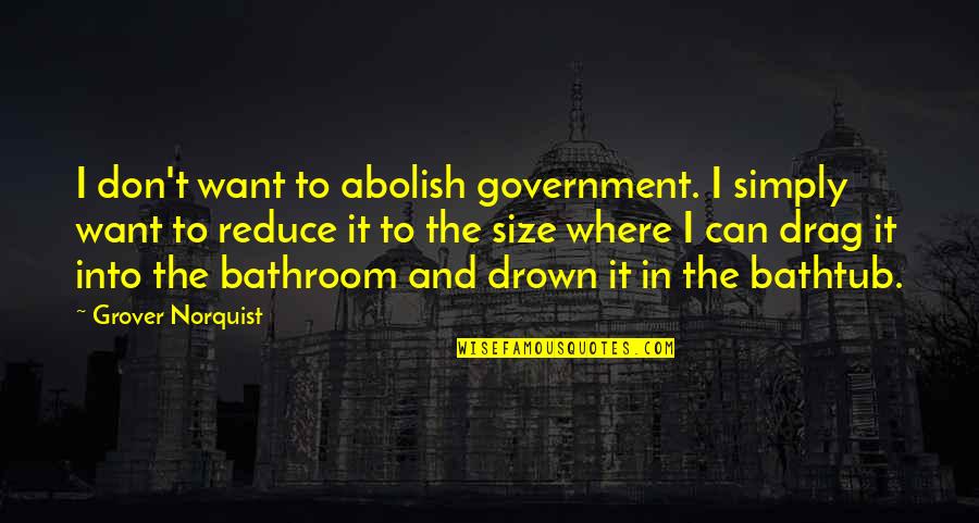 Grover Norquist Quotes By Grover Norquist: I don't want to abolish government. I simply