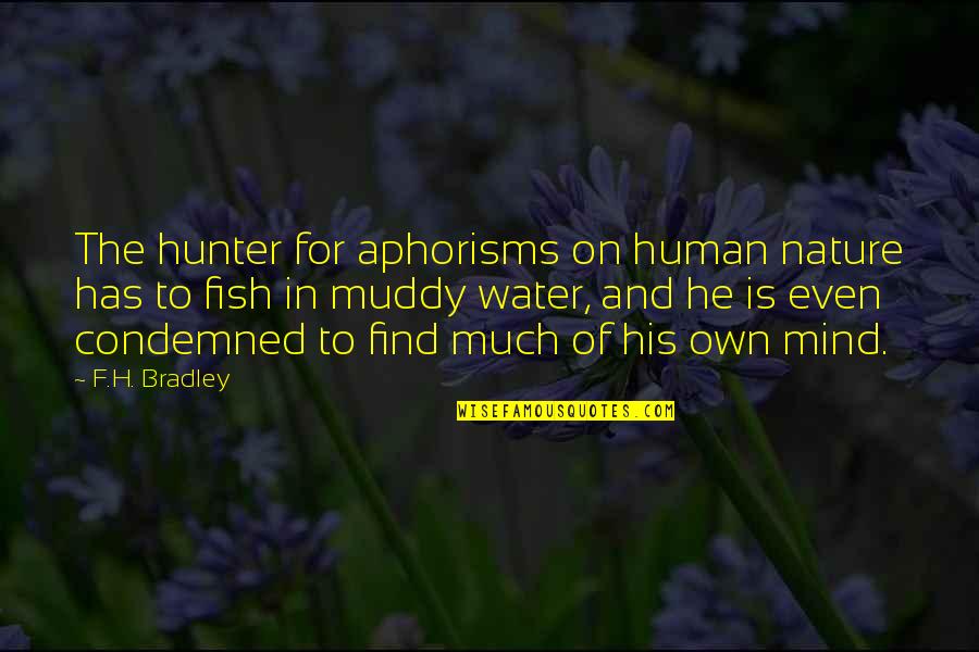 Grow A Backbone Quotes By F.H. Bradley: The hunter for aphorisms on human nature has