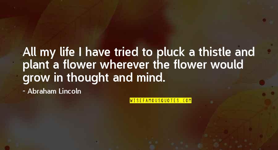 Grow A Garden Quotes By Abraham Lincoln: All my life I have tried to pluck