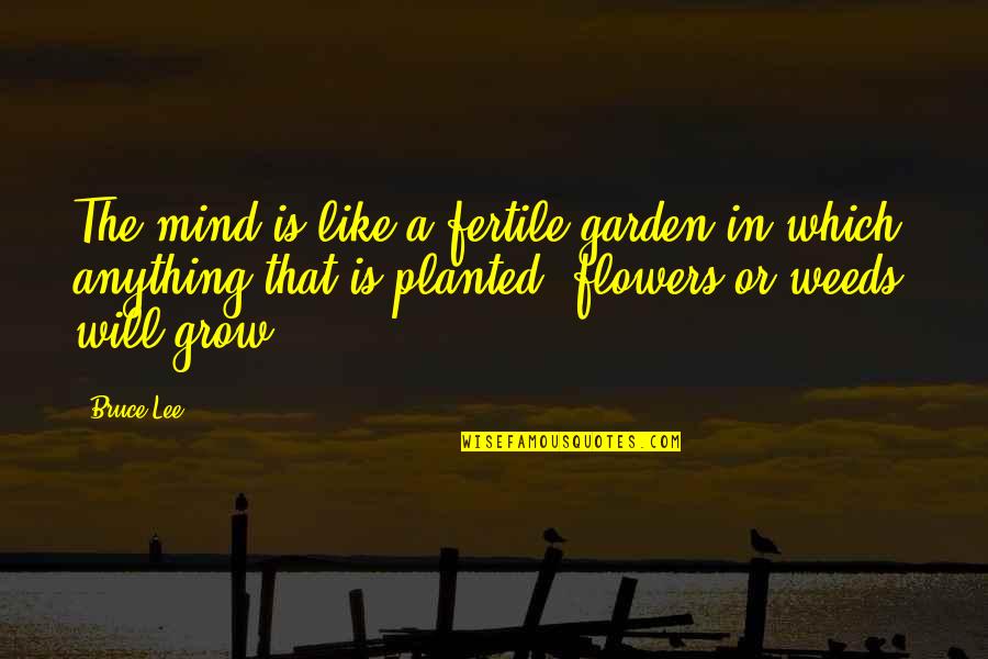 Grow A Garden Quotes By Bruce Lee: The mind is like a fertile garden in