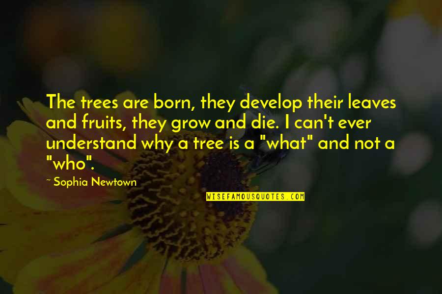 Grow And Develop Quotes By Sophia Newtown: The trees are born, they develop their leaves