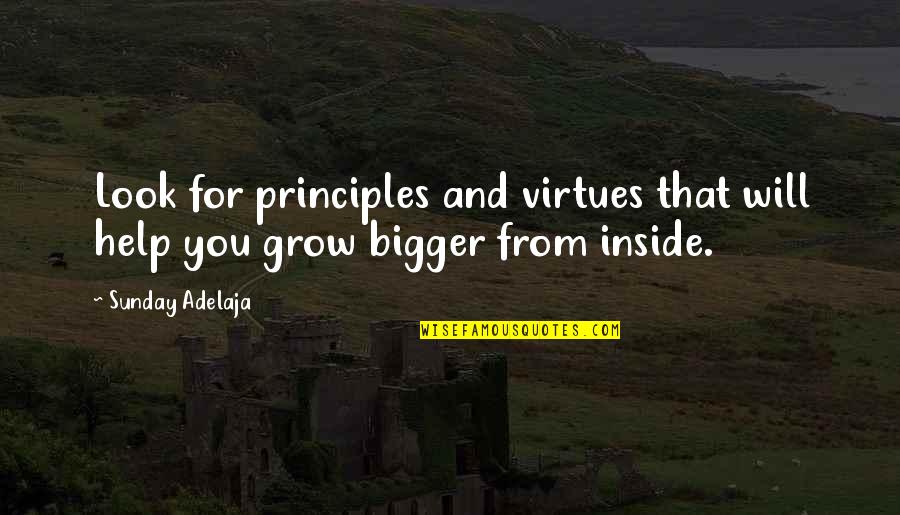 Grow Bigger Quotes By Sunday Adelaja: Look for principles and virtues that will help