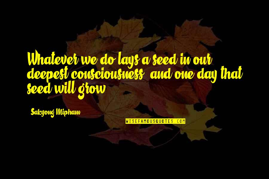 Grow Each Day Quotes By Sakyong Mipham: Whatever we do lays a seed in our Grow Each Day Quotes By Sakyong Mipham: Whatever we do lays a seed in our