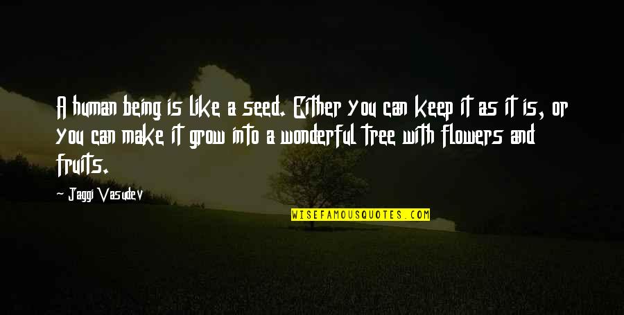 Grow Like Flower Quotes By Jaggi Vasudev: A human being is like a seed. Either