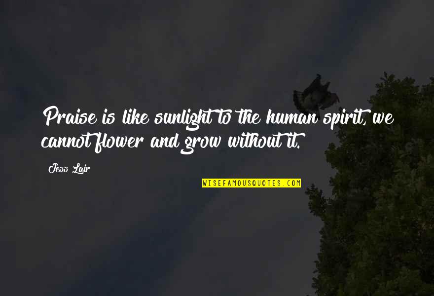 Grow Like Flower Quotes By Jess Lair: Praise is like sunlight to the human spirit,