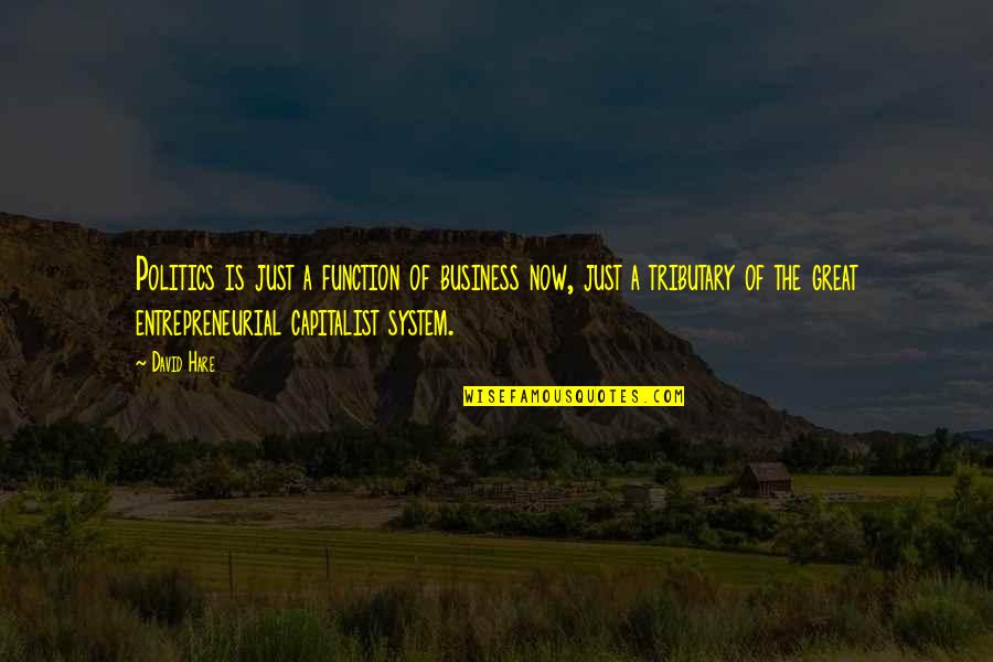 Grow Old With Someone Quotes By David Hare: Politics is just a function of business now, Grow Old With Someone Quotes By David Hare: Politics is just a function of business now,