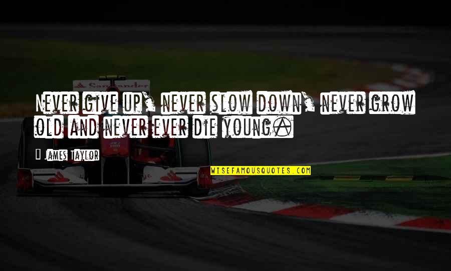Grow Slow Quotes By James Taylor: Never give up, never slow down, never grow
