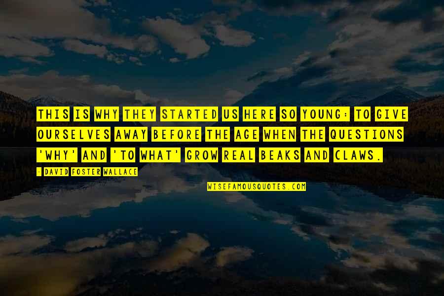 Grow To Quotes By David Foster Wallace: This is why they started us here so Grow To Quotes By David Foster Wallace: This is why they started us here so