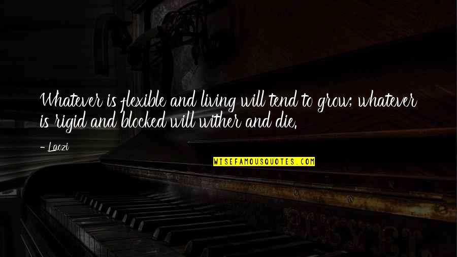 Grow To Quotes By Laozi: Whatever is flexible and living will tend to Grow To Quotes By Laozi: Whatever is flexible and living will tend to