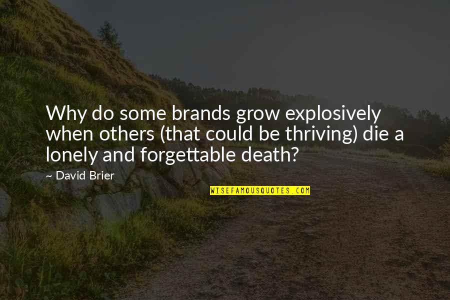 Grow Up Fast Quotes By David Brier: Why do some brands grow explosively when others