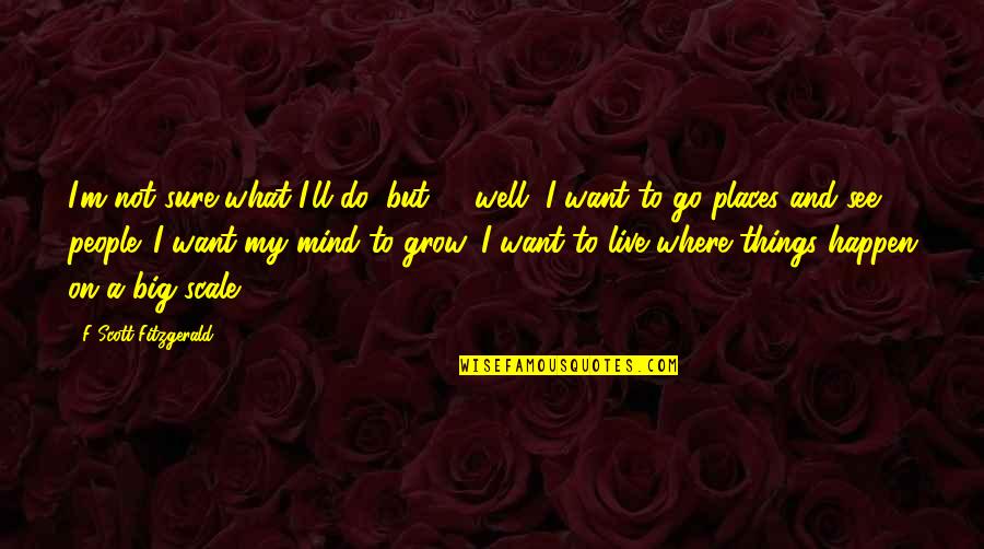 Grow Up Well Quotes By F Scott Fitzgerald: I'm not sure what I'll do, but -