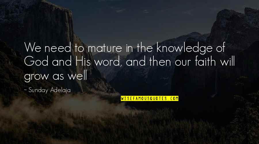 Grow Up Well Quotes By Sunday Adelaja: We need to mature in the knowledge of
