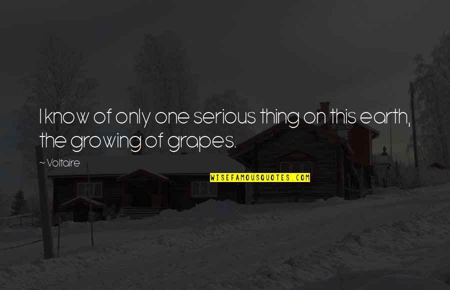 Growing Grapes Quotes By Voltaire: I know of only one serious thing on