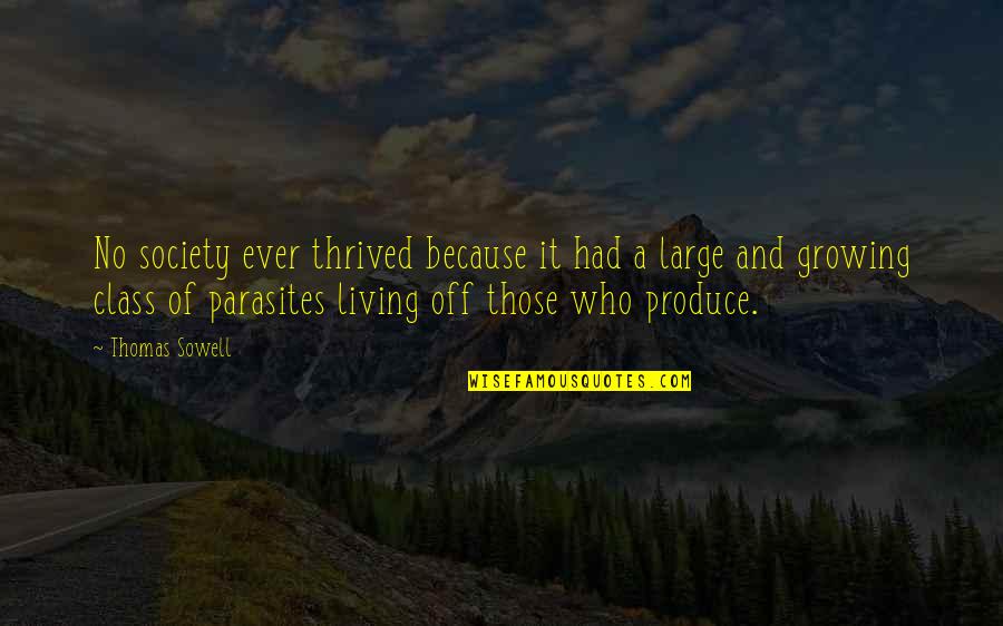 Growing Produce Quotes By Thomas Sowell: No society ever thrived because it had a