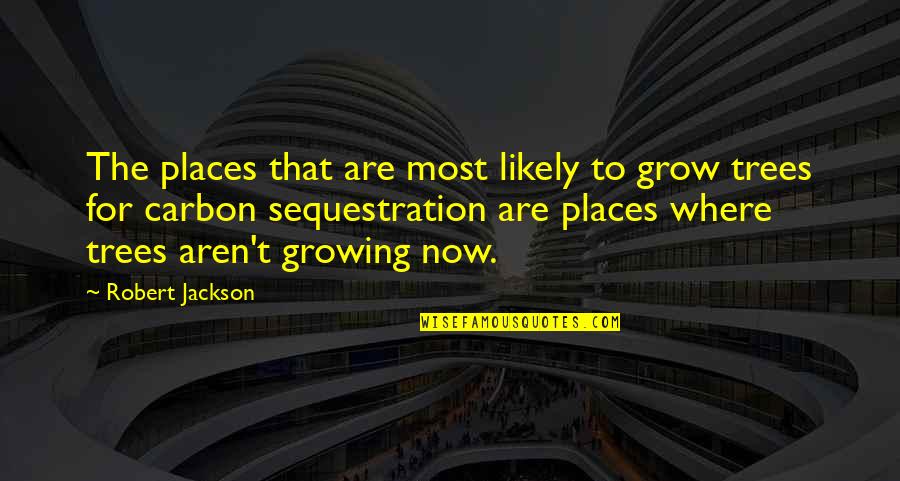 Growing Up And Trees Quotes By Robert Jackson: The places that are most likely to grow