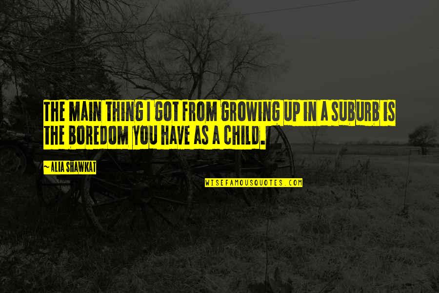 Growing Up As A Child Quotes By Alia Shawkat: The main thing I got from growing up