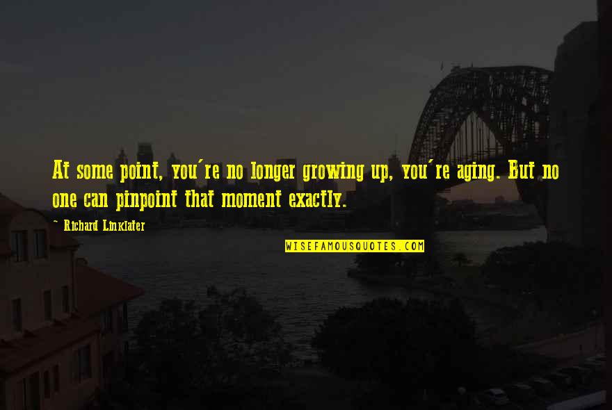 Growing Up Life Quotes By Richard Linklater: At some point, you're no longer growing up,