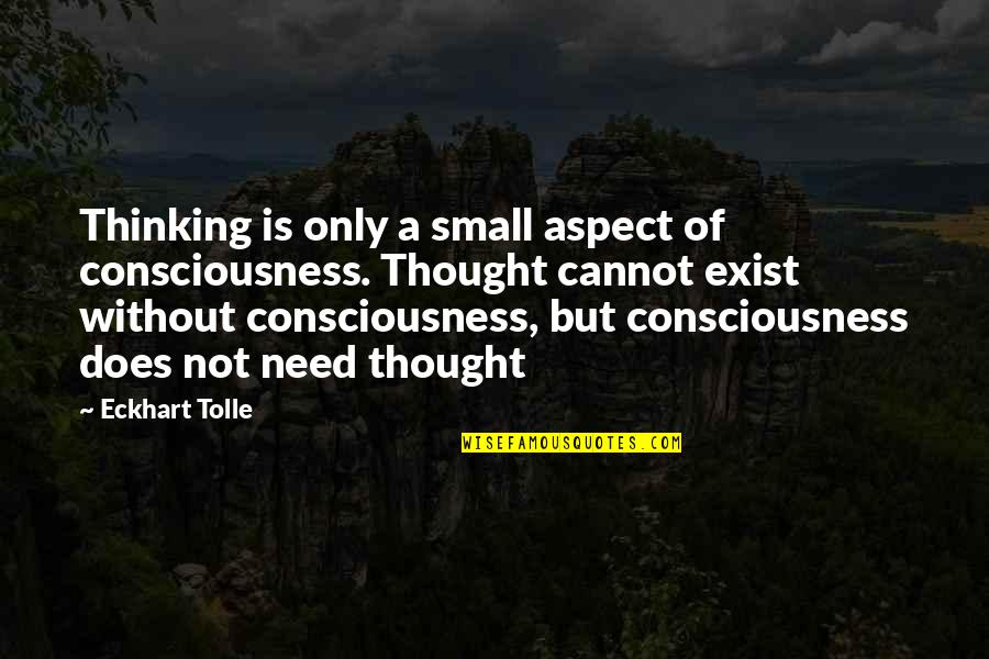 Growing Up Like A Tree Quotes By Eckhart Tolle: Thinking is only a small aspect of consciousness.