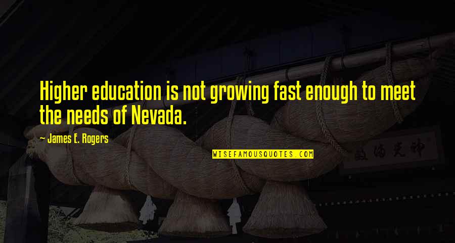 Growing Up So Fast Quotes By James E. Rogers: Higher education is not growing fast enough to