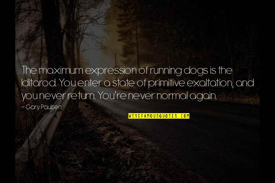 Growing Up With Brothers Quotes By Gary Paulsen: The maximum expression of running dogs is the