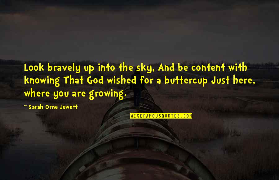 Growing Up With You Quotes By Sarah Orne Jewett: Look bravely up into the sky, And be