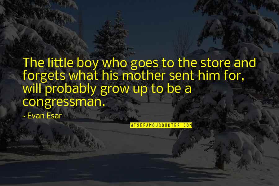 Growing Up Without A Mother Quotes By Evan Esar: The little boy who goes to the store