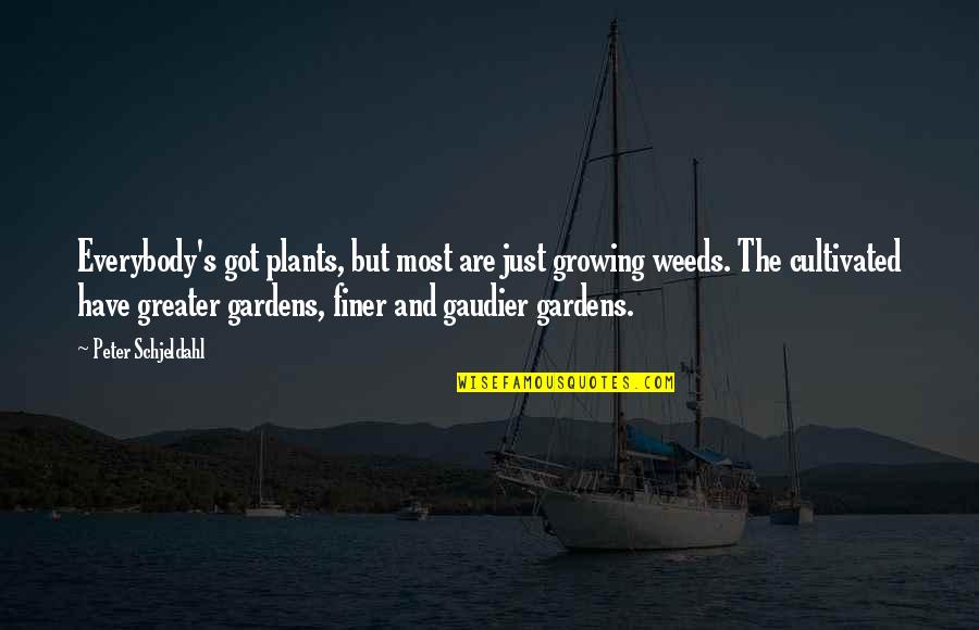 Growing Weeds Quotes By Peter Schjeldahl: Everybody's got plants, but most are just growing