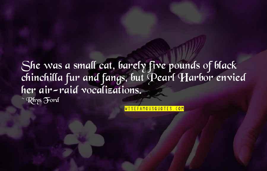 Grown Folk Business Quotes By Rhys Ford: She was a small cat, barely five pounds