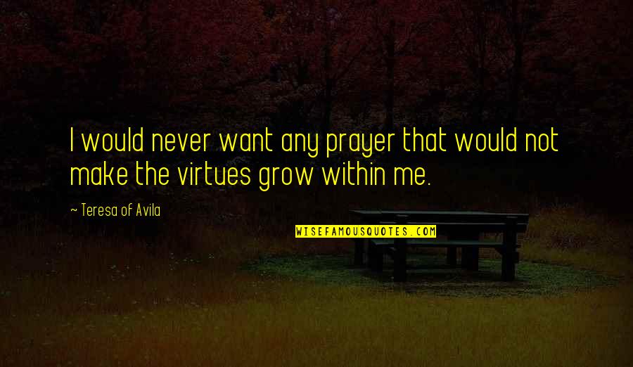 Grown Man Goals Quotes By Teresa Of Avila: I would never want any prayer that would
