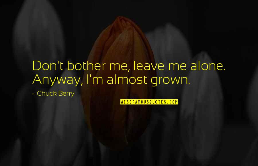 Growth Alone Quotes By Chuck Berry: Don't bother me, leave me alone. Anyway, I'm