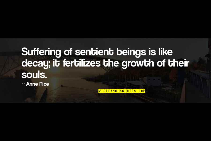 Growth And Decay Quotes By Anne Rice: Suffering of sentient beings is like decay; it