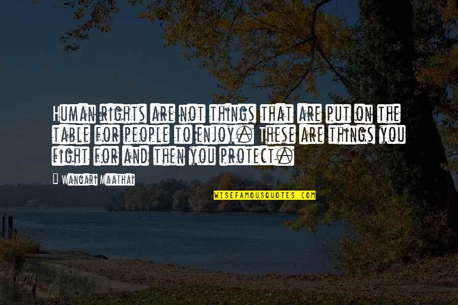 Growth And Decay Quotes By Wangari Maathai: Human rights are not things that are put Growth And Decay Quotes By Wangari Maathai: Human rights are not things that are put