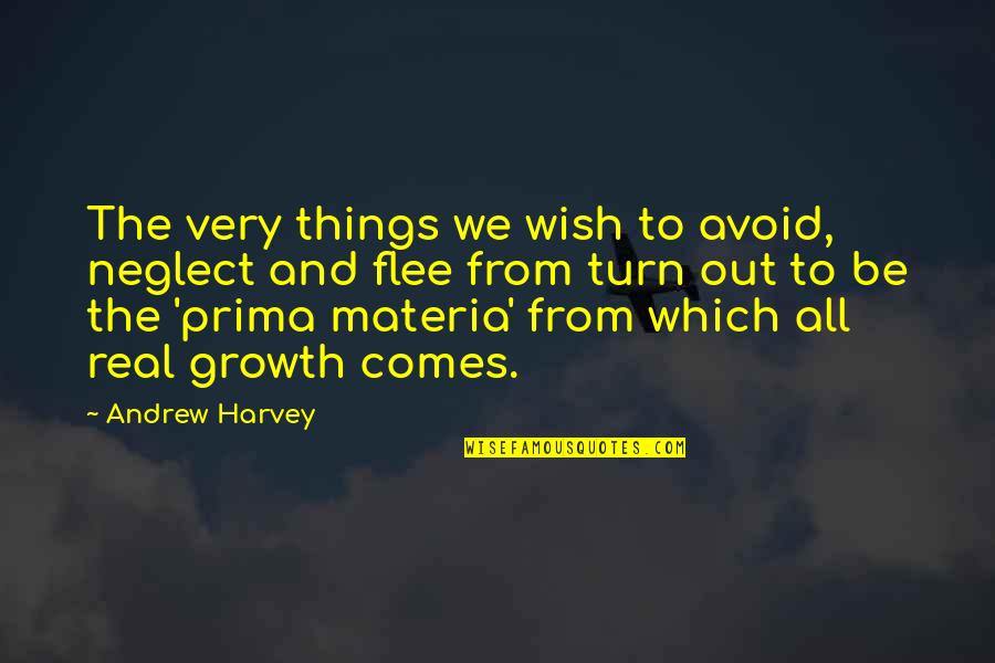 Growth Comes From Quotes By Andrew Harvey: The very things we wish to avoid, neglect