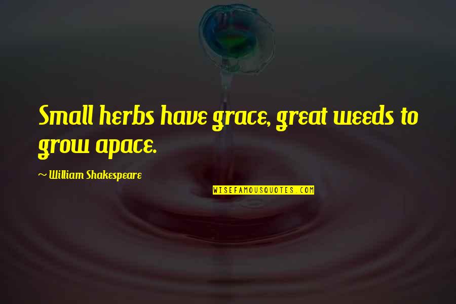 Growth In Grace Quotes By William Shakespeare: Small herbs have grace, great weeds to grow Growth In Grace Quotes By William Shakespeare: Small herbs have grace, great weeds to grow