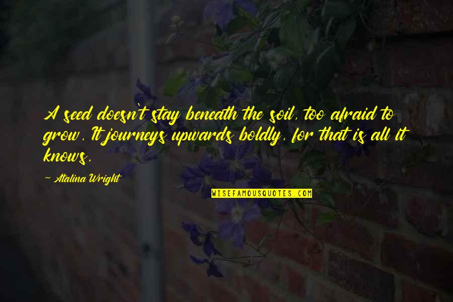 Growth Wisdom Quotes By Atalina Wright: A seed doesn't stay beneath the soil, too Growth Wisdom Quotes By Atalina Wright: A seed doesn't stay beneath the soil, too