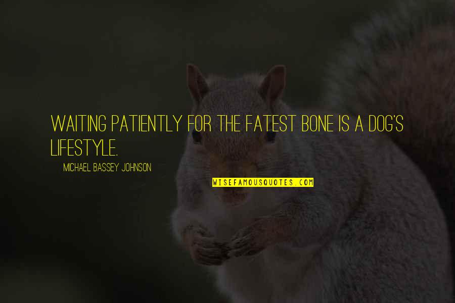 Growth Wisdom Quotes By Michael Bassey Johnson: Waiting patiently for the fatest bone is a Growth Wisdom Quotes By Michael Bassey Johnson: Waiting patiently for the fatest bone is a