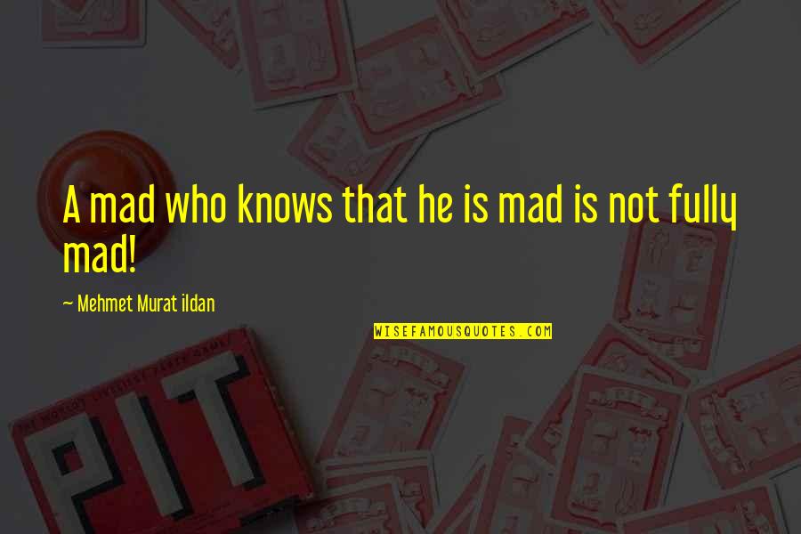 Grozdana Olujic Glasam Quotes By Mehmet Murat Ildan: A mad who knows that he is mad