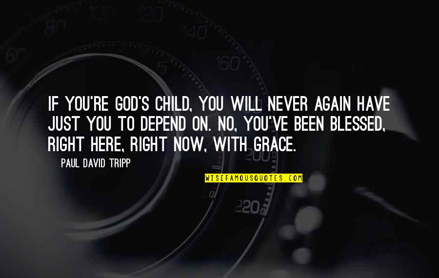 Gruda Veterinary Quotes By Paul David Tripp: If you're God's child, you will never again