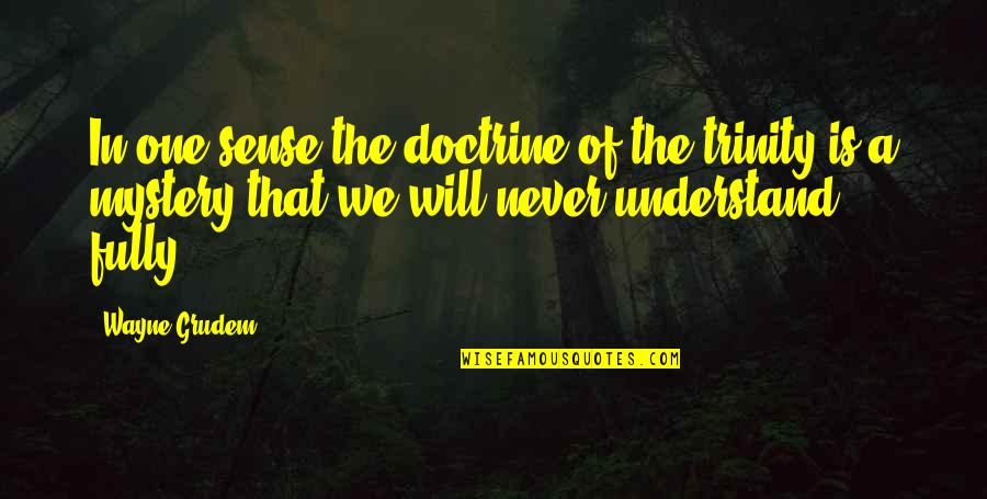 Grudem Wayne Quotes By Wayne Grudem: In one sense the doctrine of the trinity Grudem Wayne Quotes By Wayne Grudem: In one sense the doctrine of the trinity