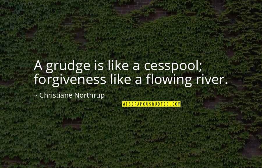 Grudge Quotes By Christiane Northrup: A grudge is like a cesspool; forgiveness like Grudge Quotes By Christiane Northrup: A grudge is like a cesspool; forgiveness like